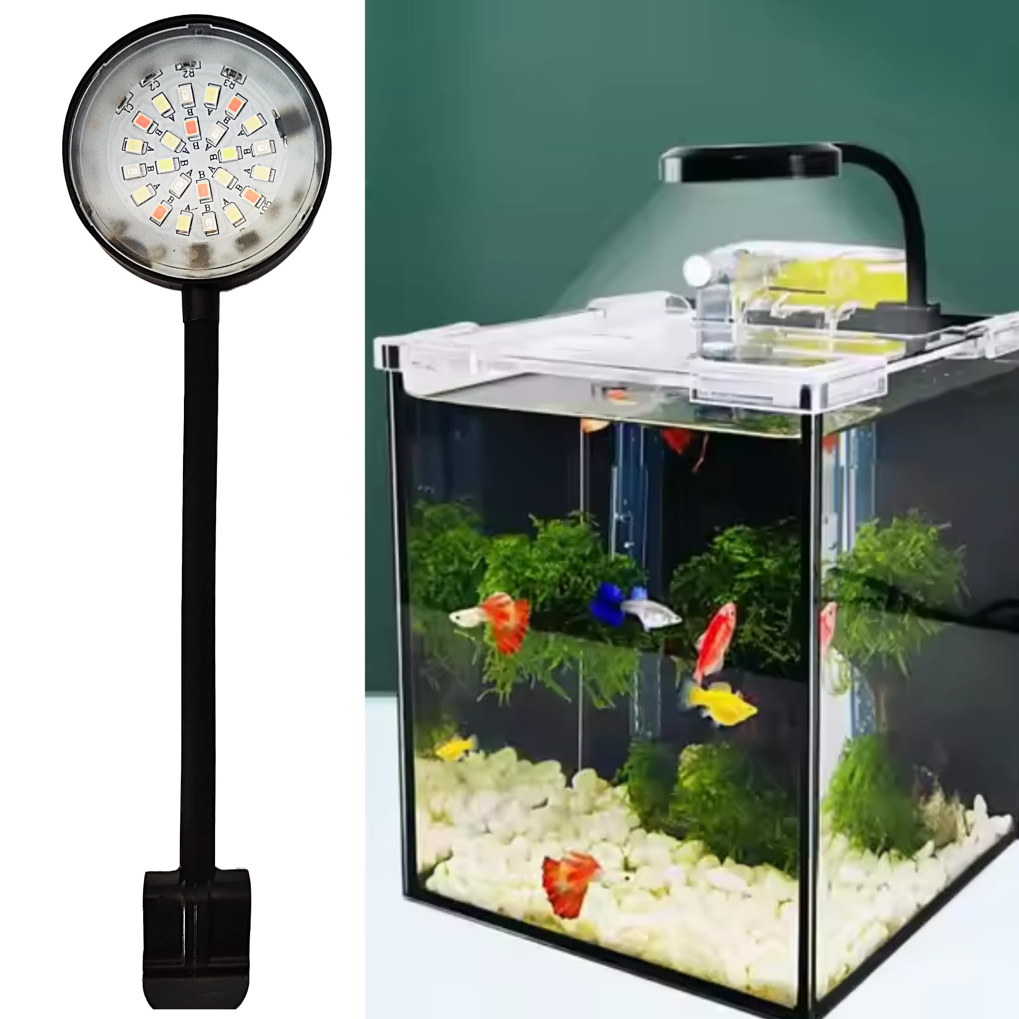 Spectrum Nano N6 Multicolor Aquarium LED Light, 2.5 W High-Brightness Clip-On, WRGB Multicolor Modes, 360° Flexible Arm, Fit for Small & Tank & Fish Bowls (Black)