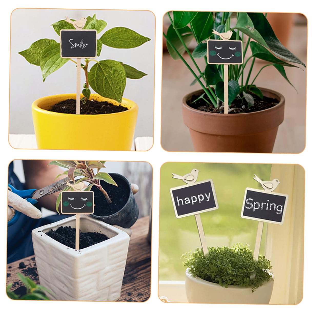 SUPVOX 50pièces Étiquettes De Jardin De Plantes Avec Piquets Mini Ardoises Pour Identification Des Et Plantes Et Stables Balcon Et Jardin