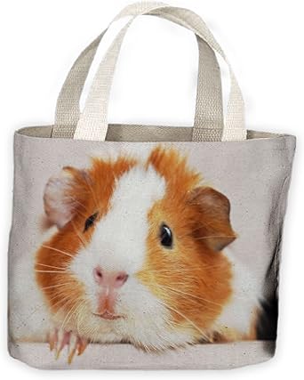guinea pig bag