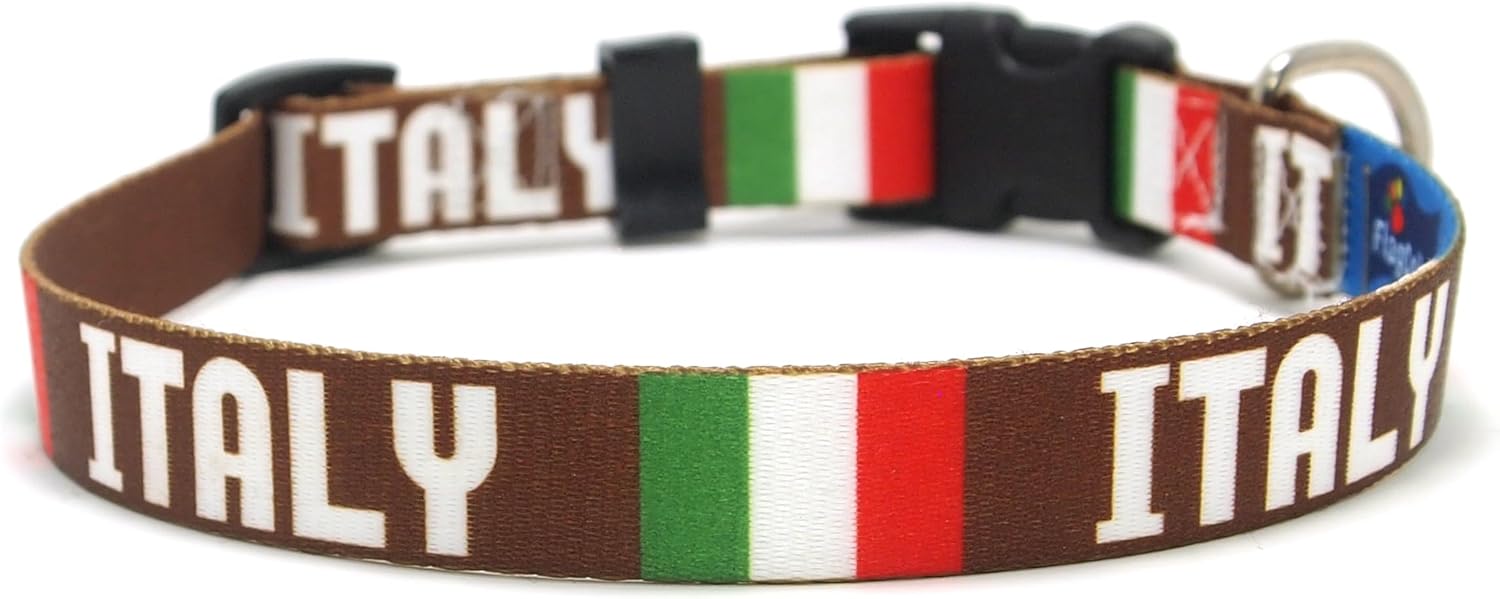 Italian Dog Collar | Italy Flag and Country Name | Great for Italy Pride Events | Made in USA | Quick-Release Buckle Style | Unique Gift