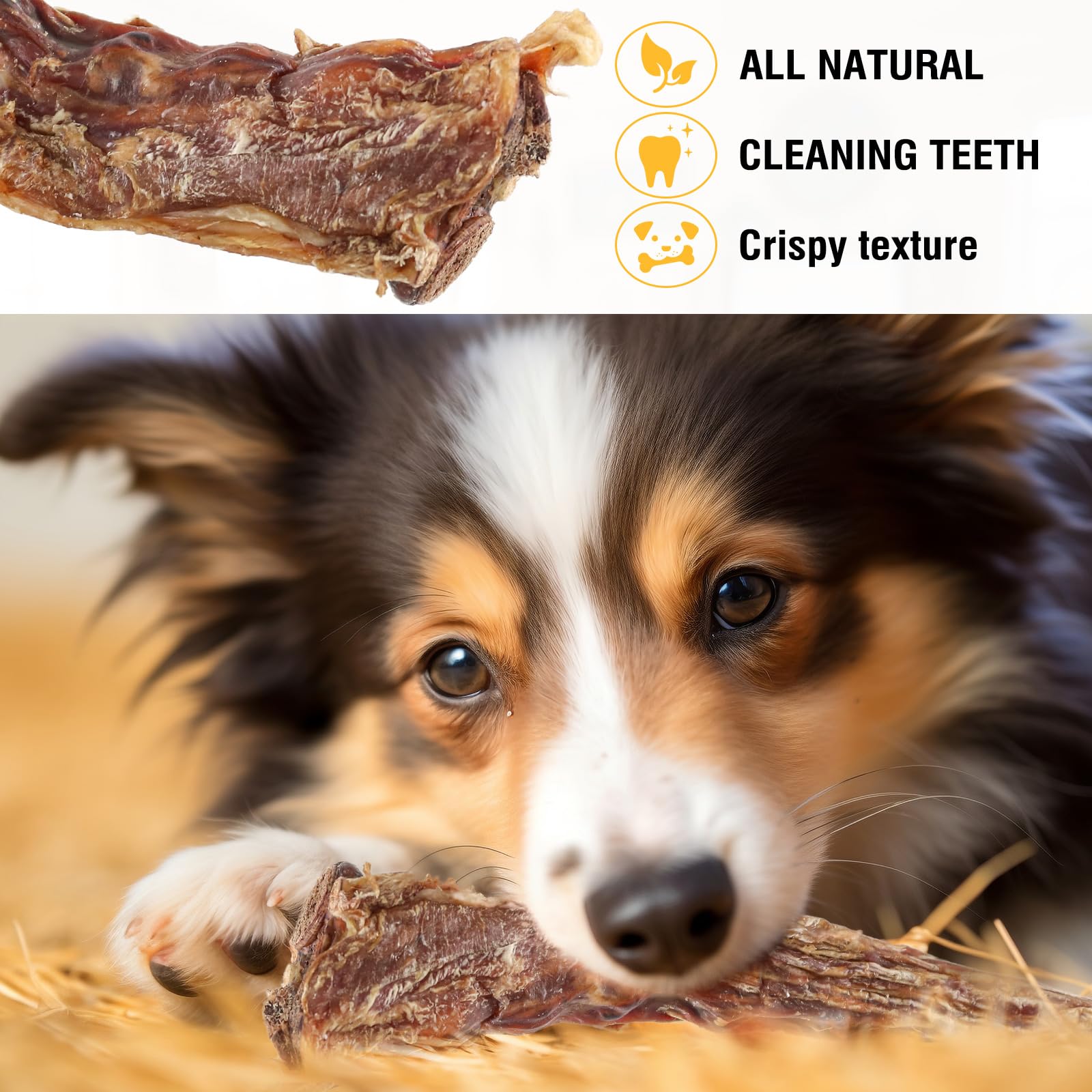 2 PCS Natural Ox Tail Bone for Dogs, Long Lasting Dental Treat - Image 2