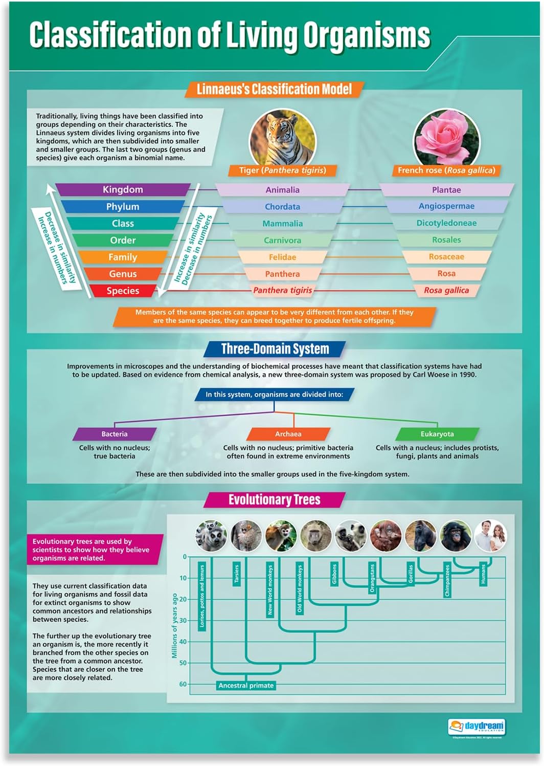Daydream Education Classification of Living Organisms | Science Posters | Gloss Paper measuring 850mm x 594mm (A1) | Science Charts for the Classroom | Education Charts