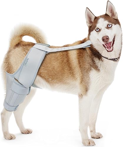 MerryMilo Rodillera para perros, soporte para perros grandes y pequeños con ACL, CCL, lesiones de ligamento cruzado, luxación de rótula u