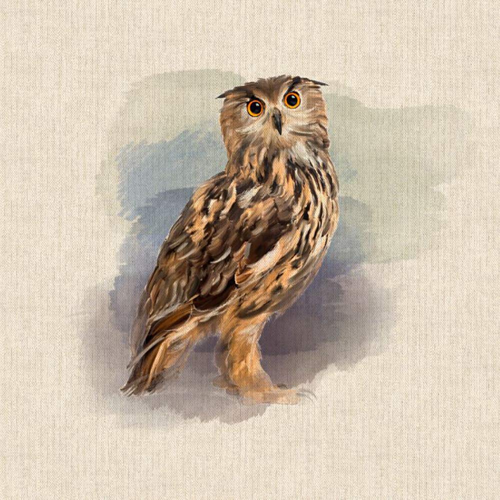 Discount Fabrics Ltd Owl Fabric Panels Animal Quilting For Cushion Bag Panels Fabric Linen Look (Owl)