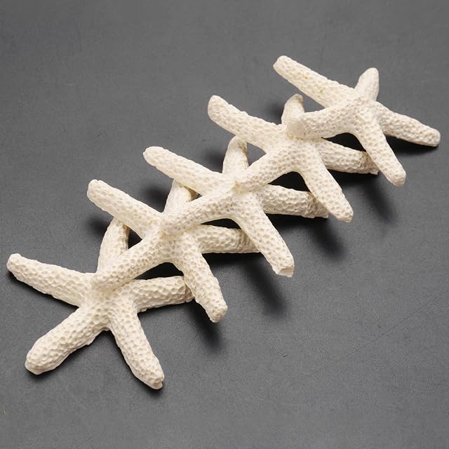 Foto 3 de 8 de Kopinma 15 Estrellas de mar Decorativas con lápiz lechoso para decoración de Bodas