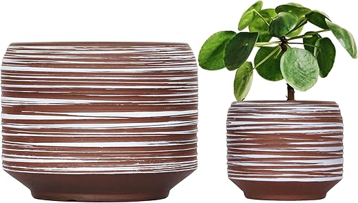 Gepege 6 Inch + 4 inch Ceramic Plant Pots for Indoor Plants, Small Large Round Succulent Orchids Flower Pot with Drainage Holes, Coffee