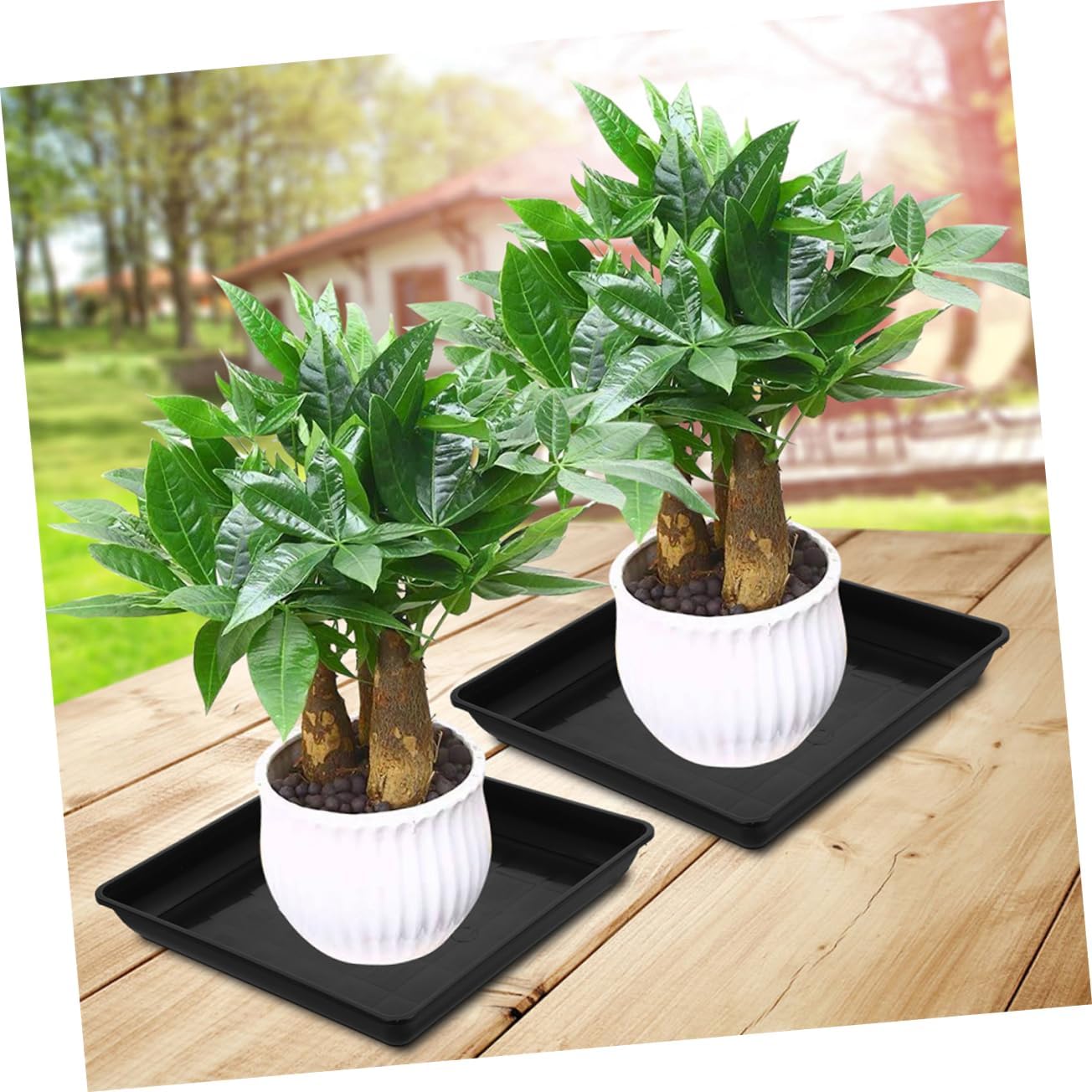 GANAZONO 3pcs Thick Rectangular Plant Pot Saucers Waterproof Drip Trays for Plants Multi-Color Flower Pot Bases Drainage for Potted