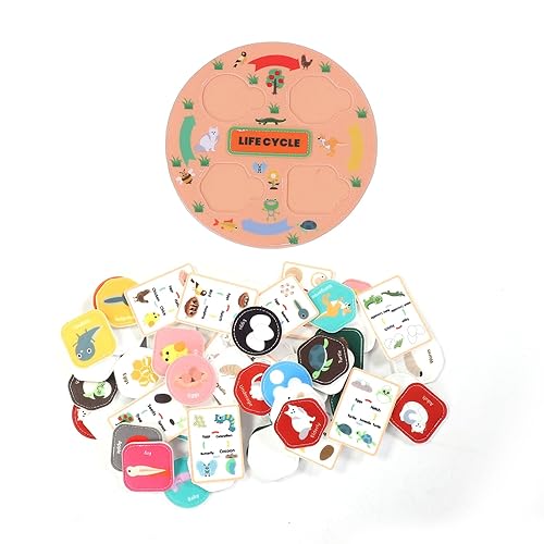 Pongnas Kit de Jouets éducatifs Scientifiques du Cycle de Vie