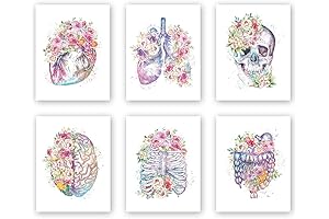 CHDITB Anatomy Art Prints - Set of 6 Unframed Flowers Skeletal Wall Art