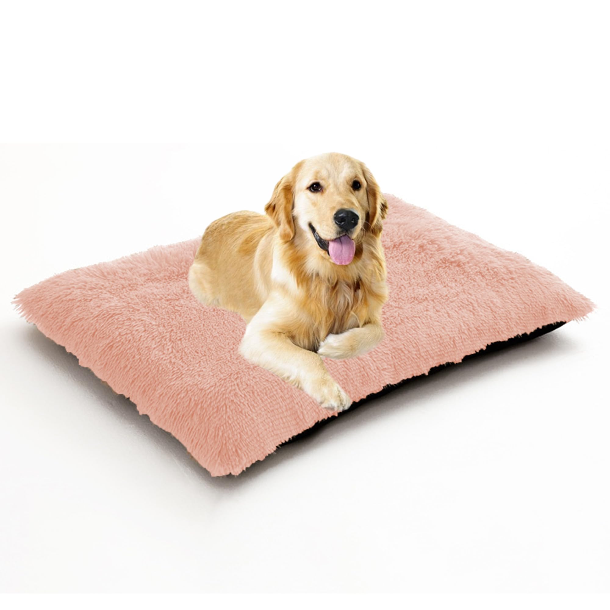 Coussin de cage pour chien antidérapant et lavable en machine
