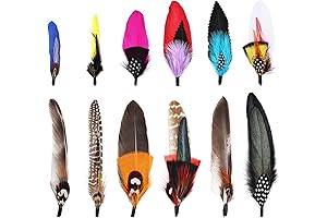 12 Pieces Real Rooster Feathers for Cowboy Hat