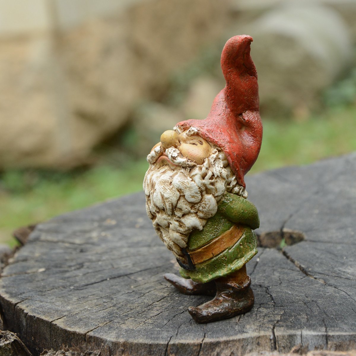 Top Collection Miniaturowy bajkowy ogród i terrarium ogrodowy krasnal statuetka