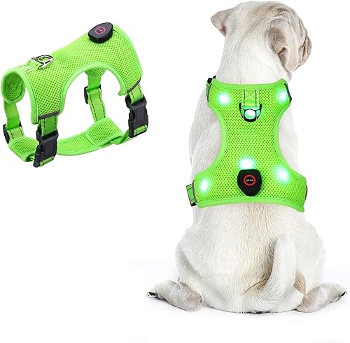 AMIR - Arnés LED para perro, pequeño, sin tirones, sin estrangulamiento, recargable por USB, 3 modos de iluminación, ajustable, transpirable, malla