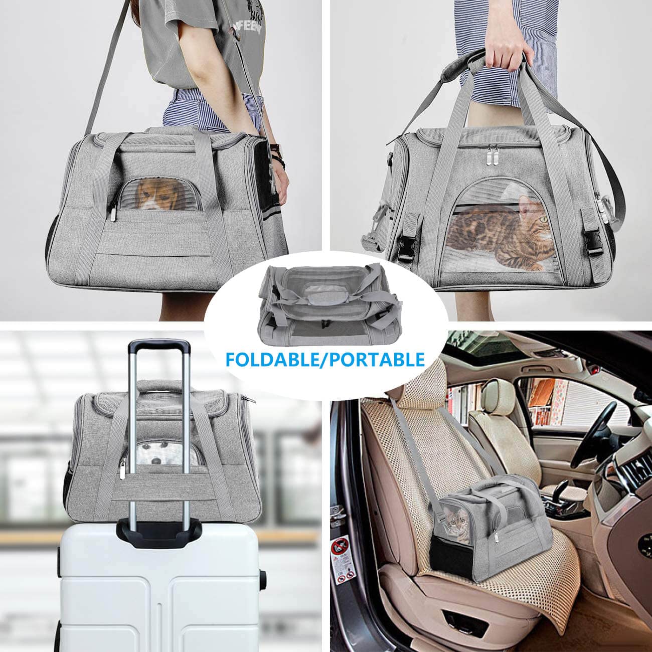 Qiwieod Transportbox für kleine Hunde und Katzen