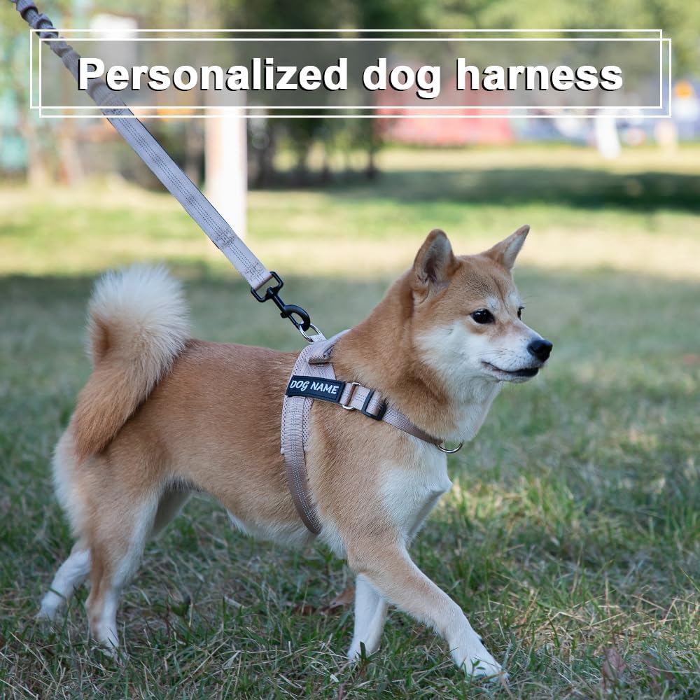 Personalized No Pull Dog Harness with Name and Phone Number,Quick Fit Easy Walk Dog Harness,Reflective No Choke Pet Vest with Easy Control Handle for Small Medium and Large Girl Boy Dogs,Grey,M