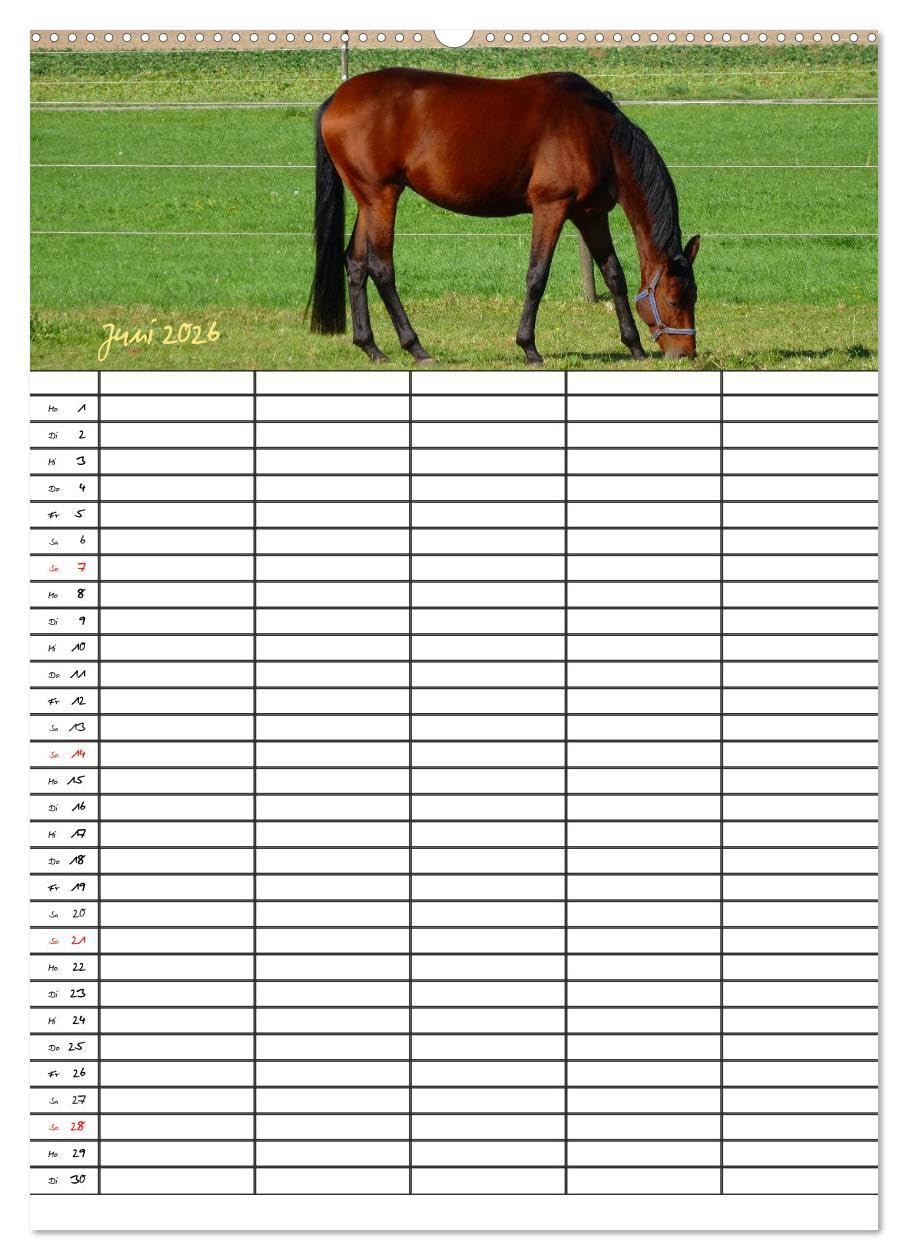Bauernhoftiere Familienplaner (hochwertiger Premium Wandkalender 2026 DIN A2 hoch), Kunstdruck in Hochglanz: Nutz- und Haustiere (CALVENDO Tiere)