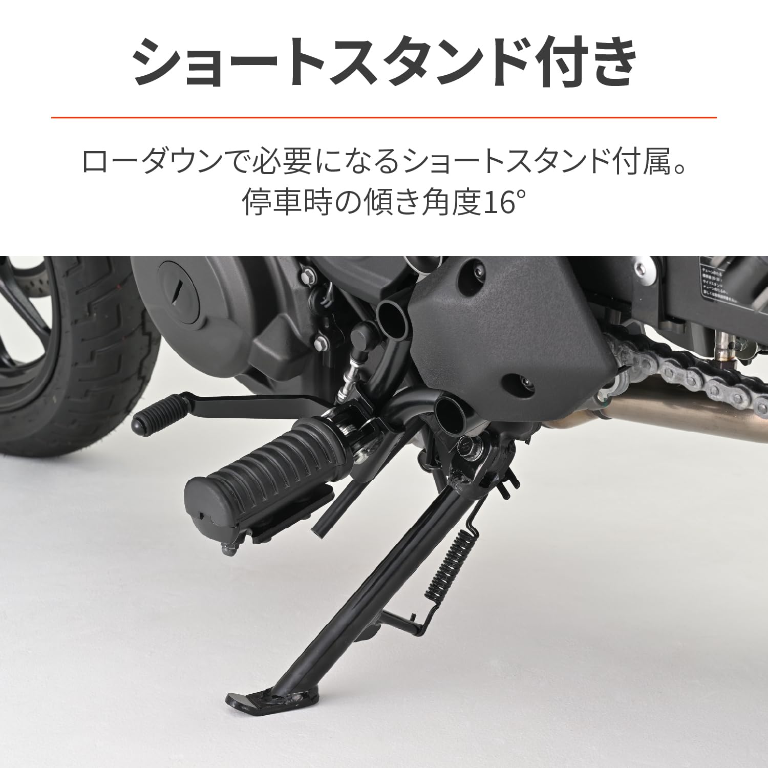 Amazon | デイトナ(Daytona) エリミネーター/SE(24-25)専用 リア 