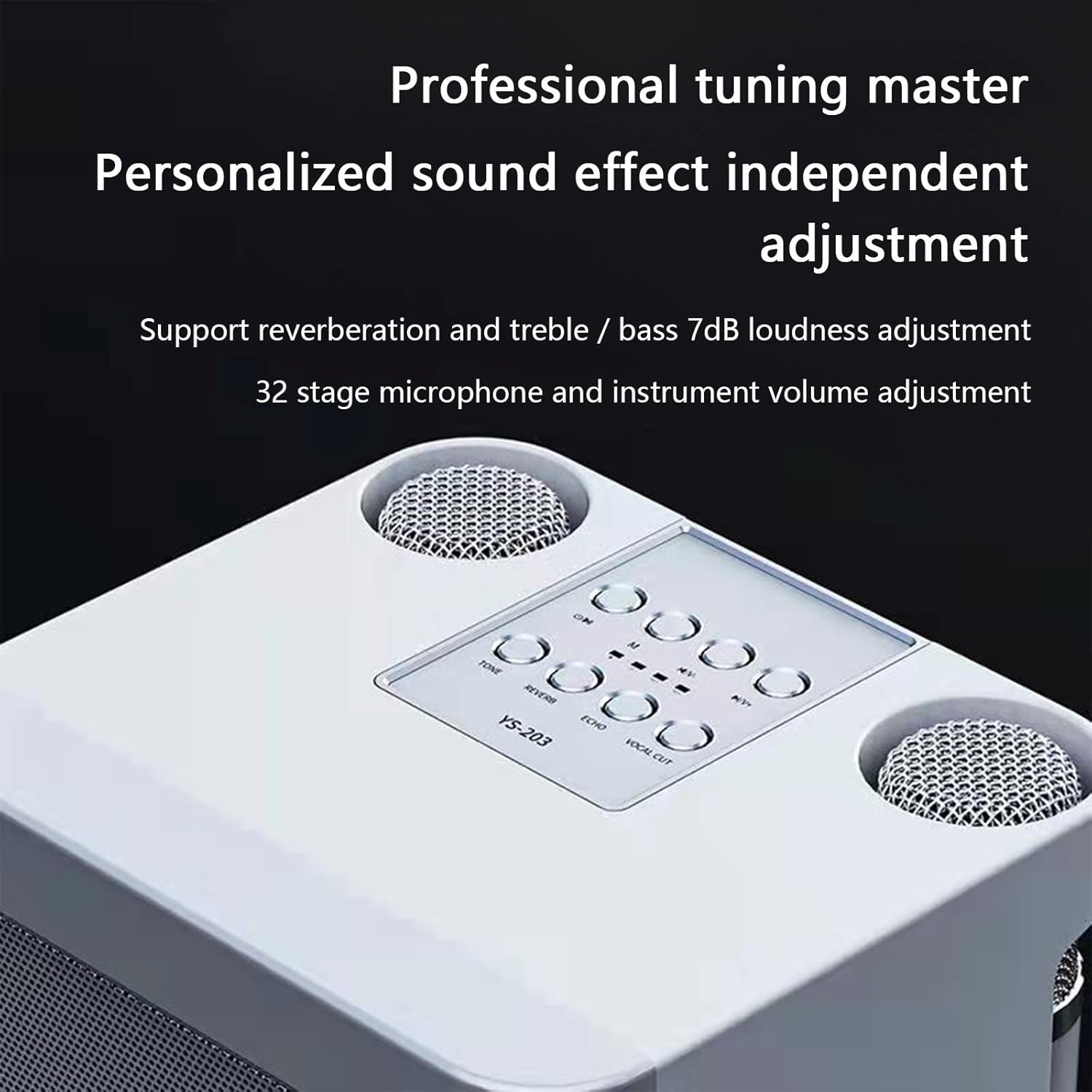 New Bluetooth Microphone with Speaker Kara