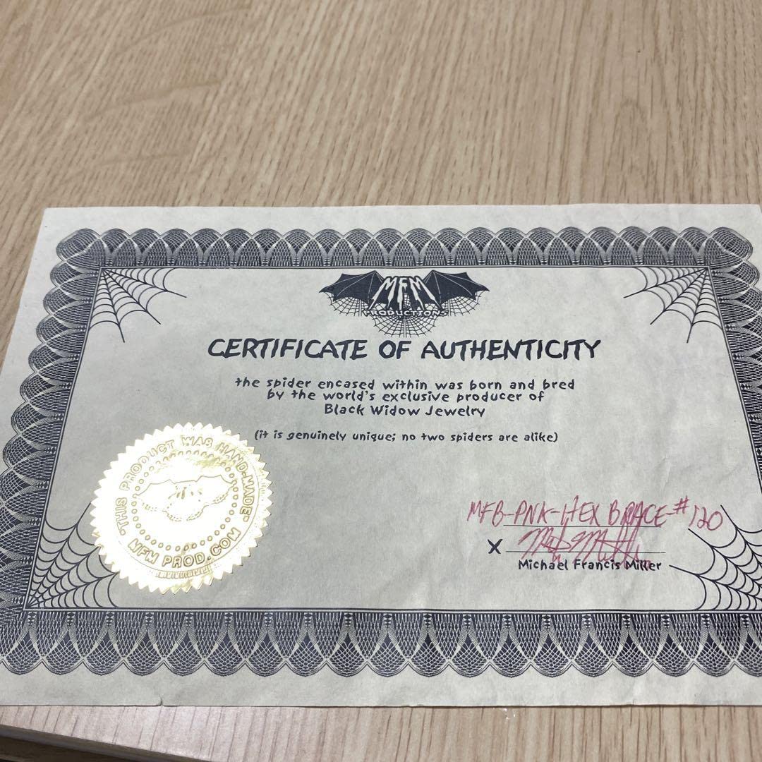 Amazon.co.jp: X JAPAN hide着用 MFM バングル 120 正規品 : おもちゃ