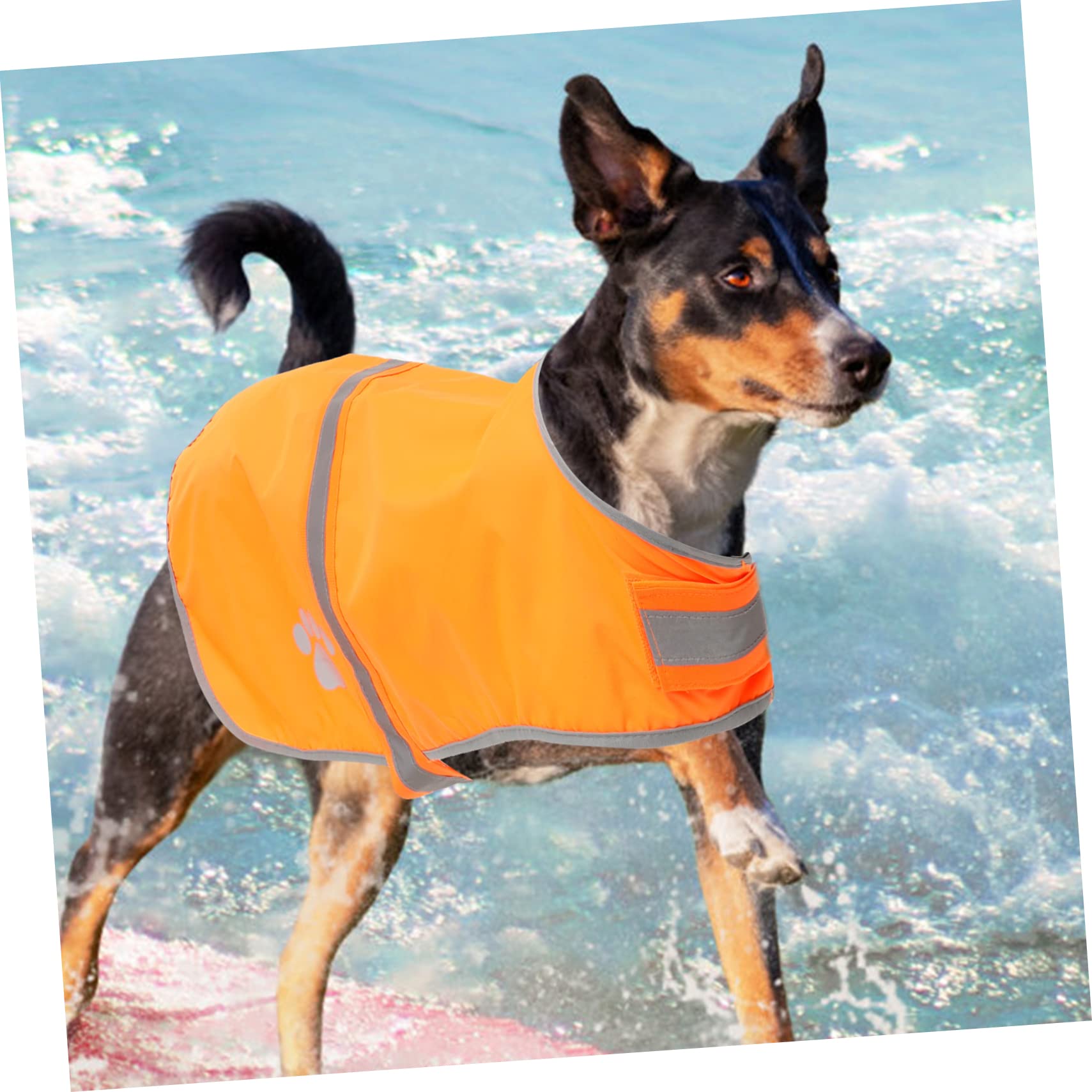 FRCOLOR 3stücke Hundeweste Mit Reflektierenden Elementen Fluoreszierende Anpassbare Hundeweste Für Outdoor-aktivitäten Sichtbarkeit Und Für Kleine Hunde Wasserdichtes Oxford-Material