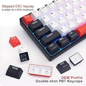 Amazon | MOLGRIA SKYLOONG GK61 デュアルスペース RGB バック
