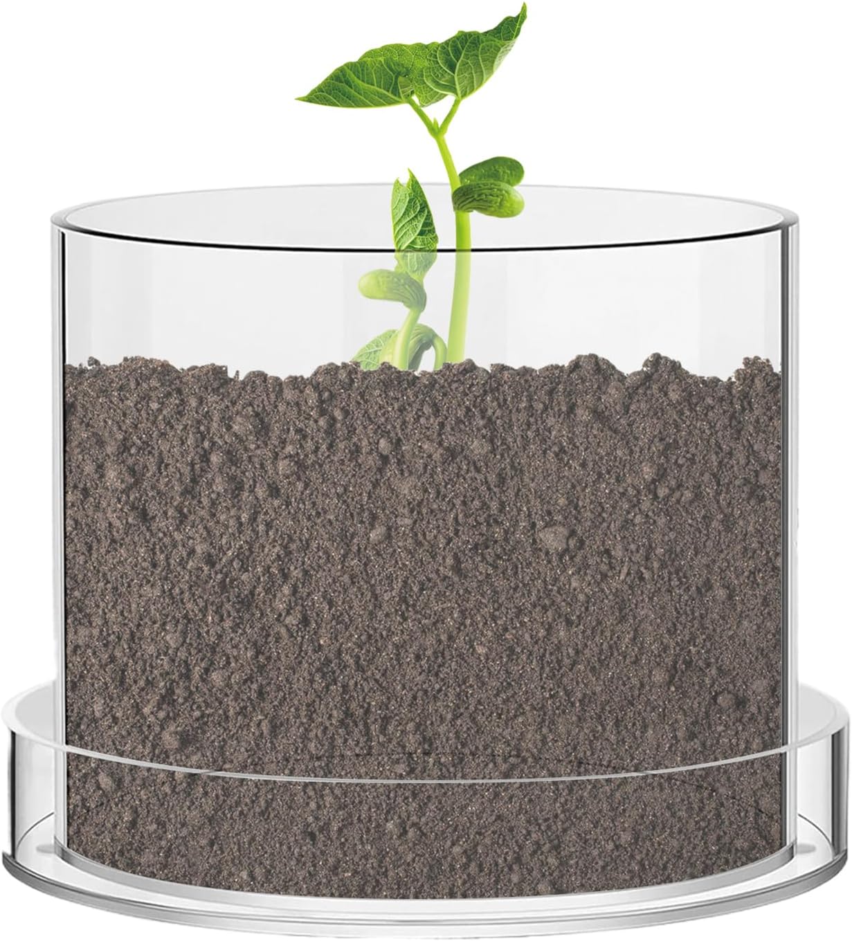 Clear Plant Pots - 8x8x6.7in Acrylic Containers, Reusable Potting Cups, Seedling Starter Tray, Transparent Flower Garden Planter, Indoor Plant Growing Accessory | Home Balcony Nursery Uses
