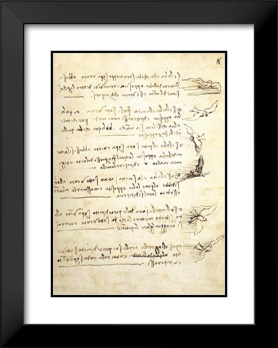 ArtDirect Da Vinci, Leonardo 19x24 Black Modern Framed Art Print with Double Matting Titled: Codex on the Flight of Birds I