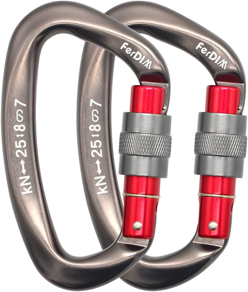 Climbing Carabiner 25KN (5620 lbs) CE Certified Professional Heavy Duty Strong Caribeaners Clip for Rock Climbing Rappelling Swinging Tree Climbing Dog Leash D-Shaped Large Size