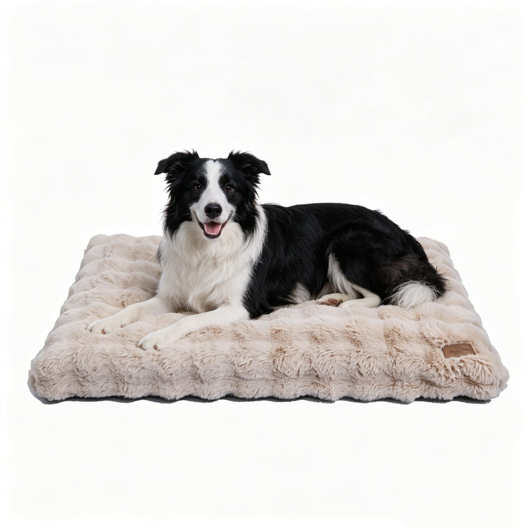 BingoPaw Cuccia Cane Extra Grande, Lavabile, 105x70x12cm, Beige | Cuscino per cani grandi in peluche 500 g/m², morbido e sfoderabile, imbottitura in schiuma, fondo antiscivolo