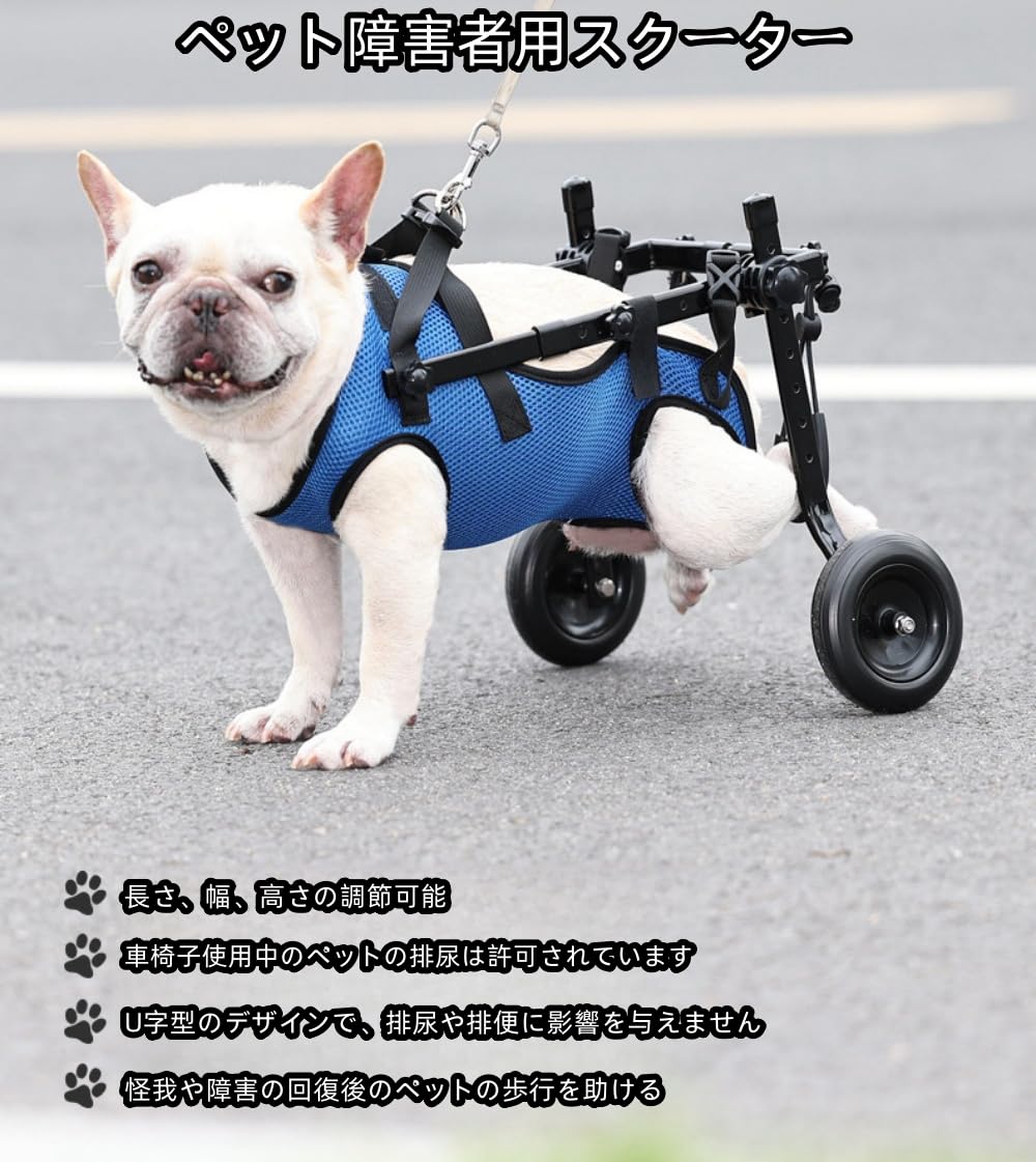 Amazon.co.jp: Pazzfre 犬猫用車椅子 2輪歩行器 犬用歩行補助具 犬用