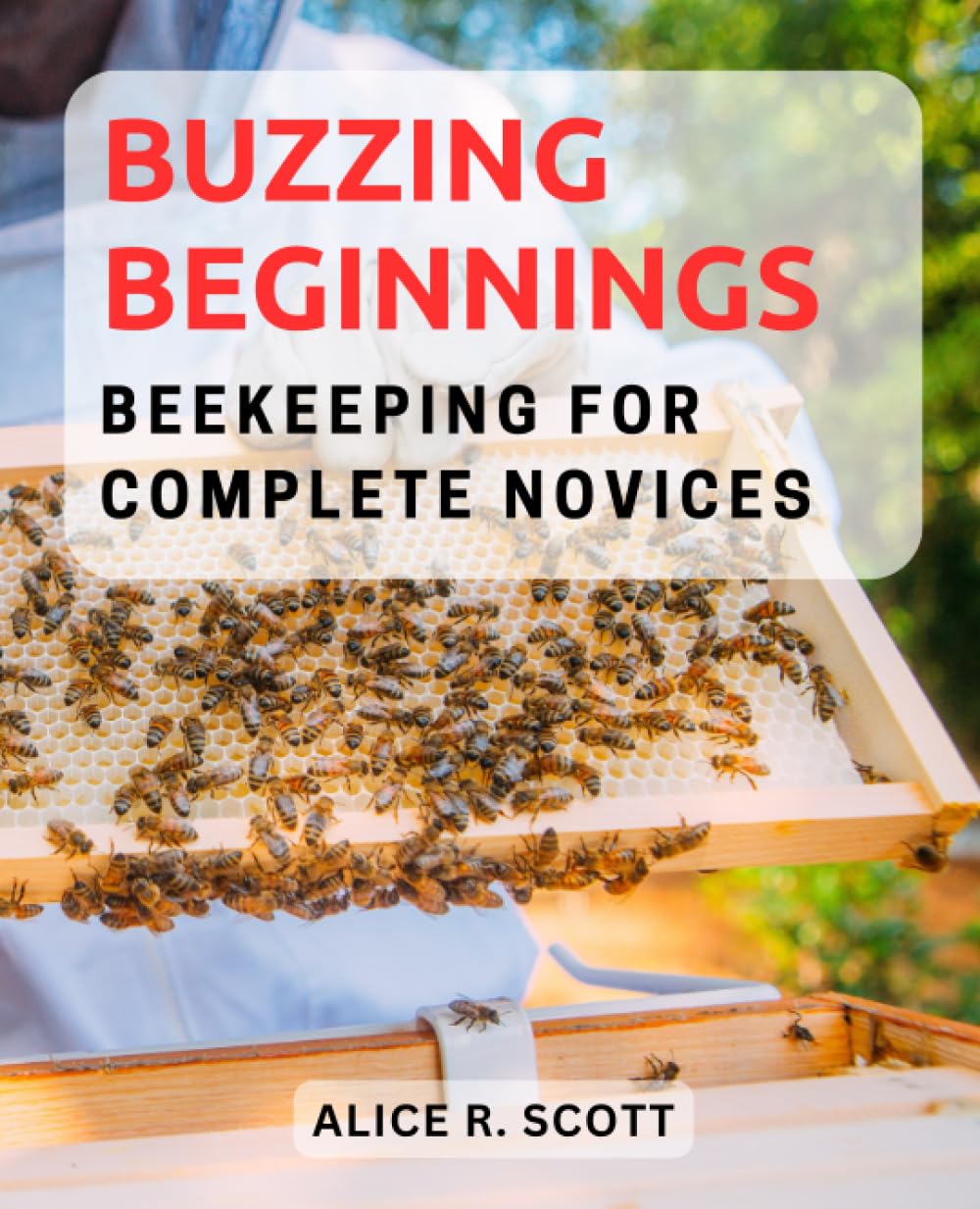 Buzzing Beginnings: Beekeeping for Complete Novices: Your Step-by-Step Guide to Start Beekeeping and Delight in the World of Honeybees