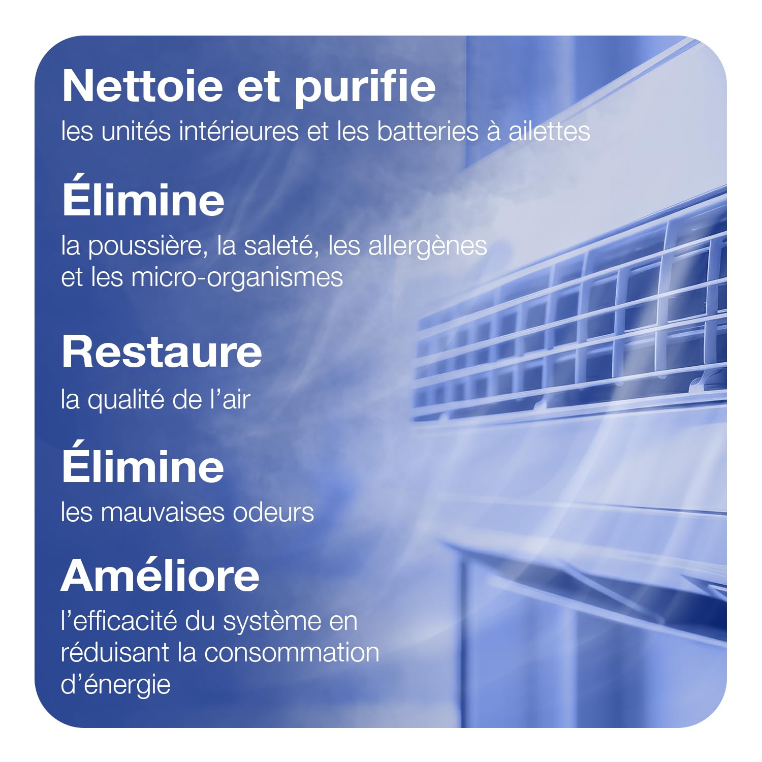 ERRECOM Evaporator Cleaner, Nettoyant en Bouteille Aérosol pour Climatiseurs, 12 x 400 ml