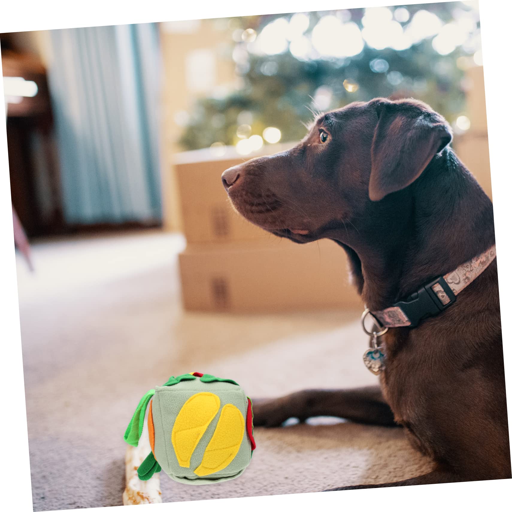 Amosfun 3stücke Hundeschnüffelball Aus Lebensmittelechtem Material Interaktives Kauspielzeug Fördert Geistige Anregung Und Futteraufnahme Für Kleine Und Mittelgroße Hunde Frisches