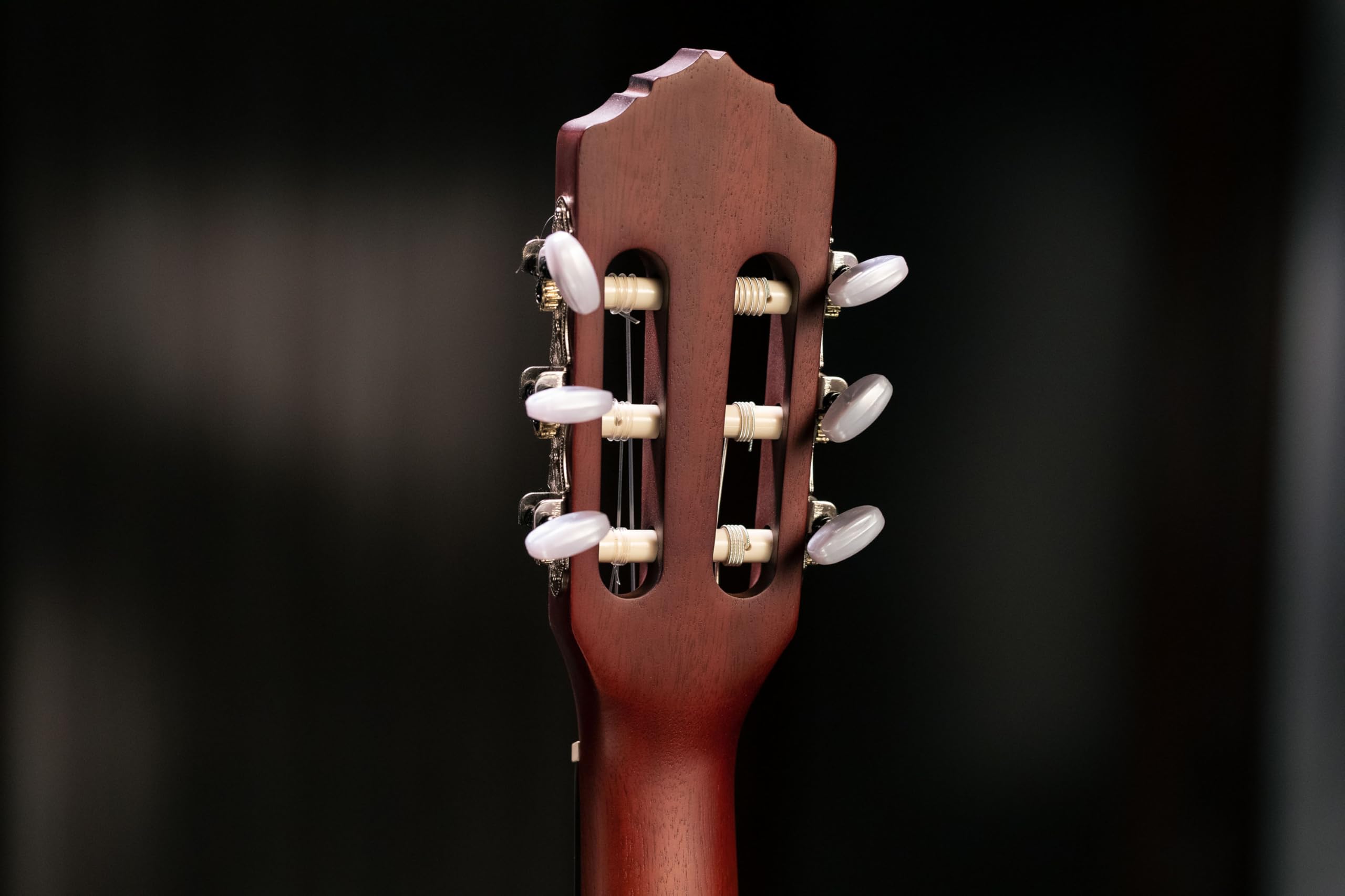 Ortega Guitars Chitarra Concerto Thinline Elettro-acustica - Serie Family - Slim Neck - include Gig Bag - Mogano (RCE125MMSN)