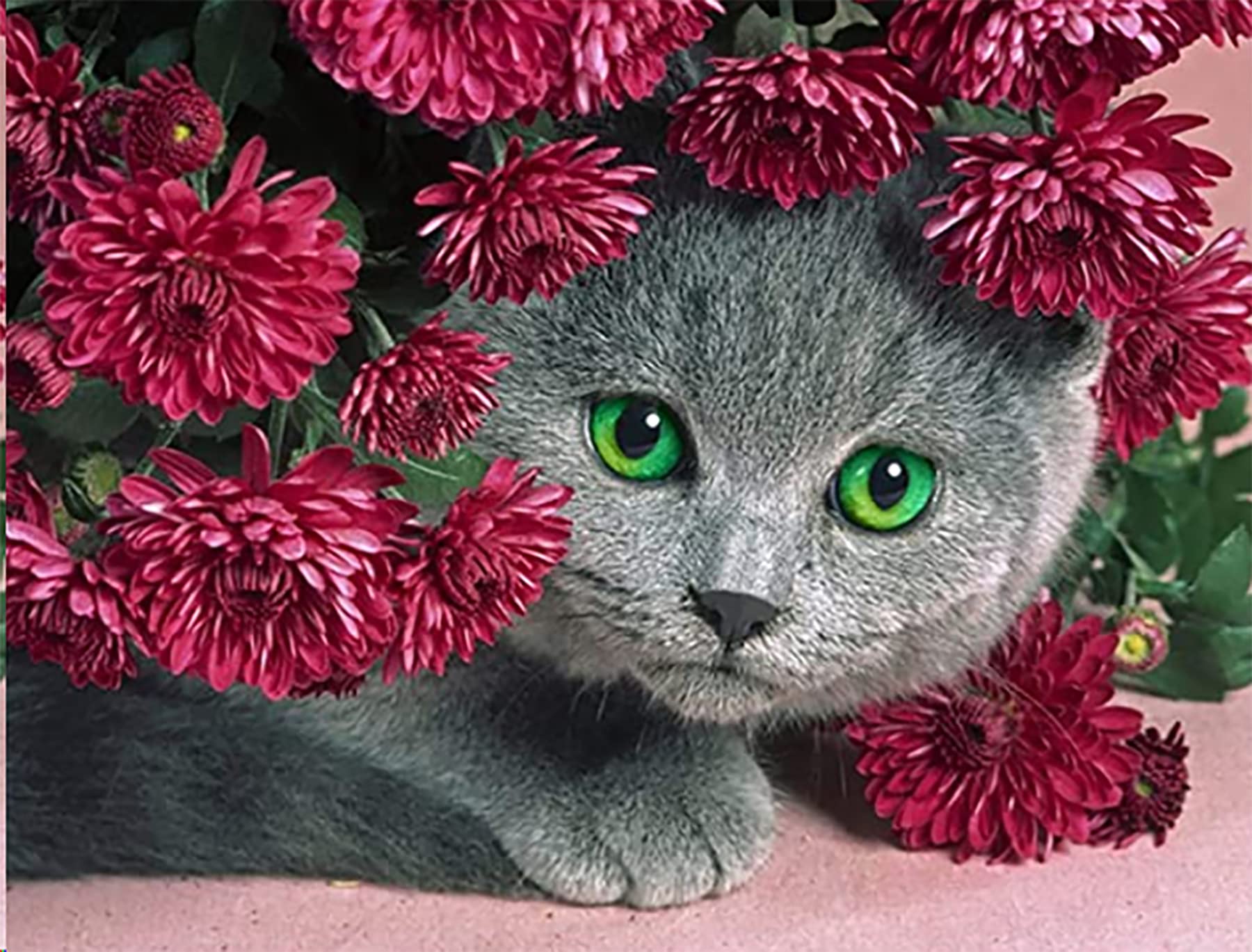 Zariocy 5D Diamond Painting Fiore Rosa: Kit 30x40 Cm Con Tela, Strass E Strumenti