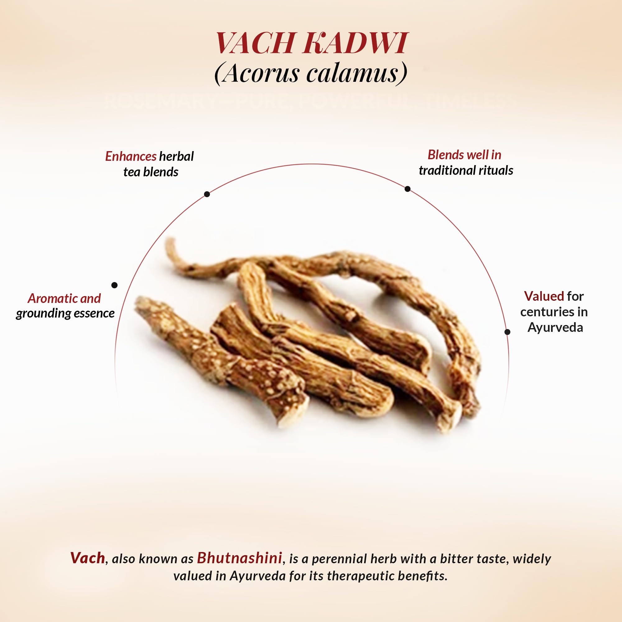 Dr. Arya's Vach Root (Acorus Calamus) – 100gm - Image 4 thumbnail
