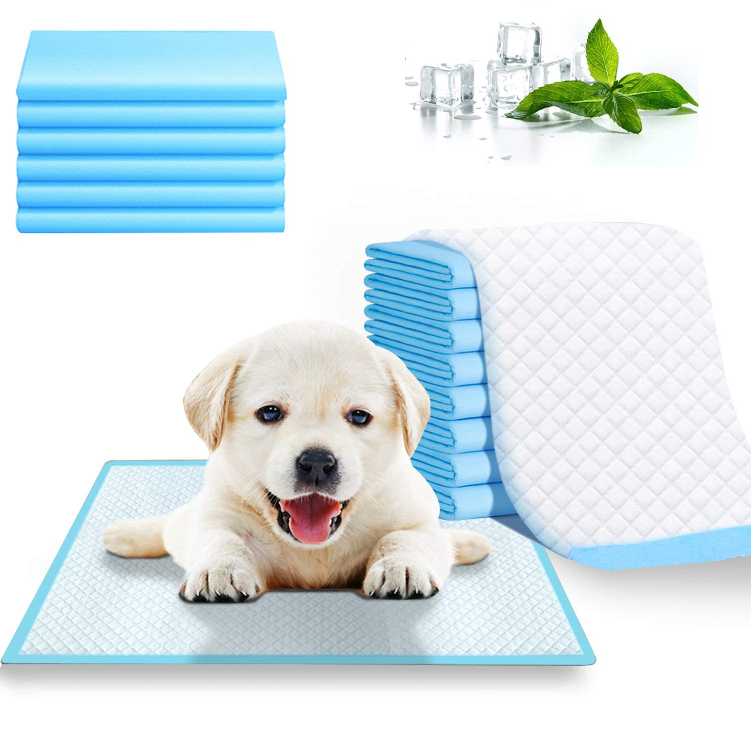 Puppy Pads Pack Of 50 (60 x 60cm) Super Absorbent Puppy Training Pads 6 Layer Design Disposable and Leak-Proof Dog Training Pads Large Size Dogs Training Pee Mats Dry Paws Quick Dry Dog Pads