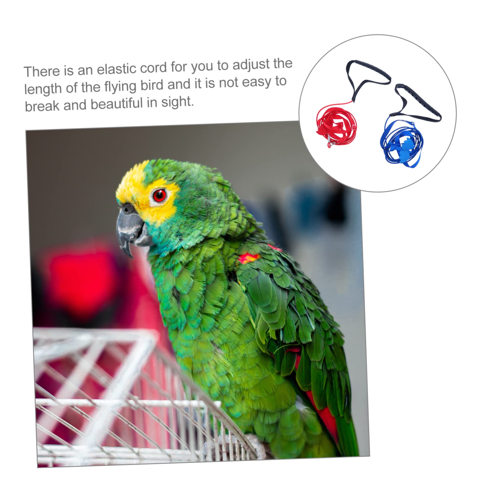 BESTonZON 2Pcs Parrot Bird Harness Outdoor Flying Leash Training Tool Red Easy to Use for with Parrots and Birds