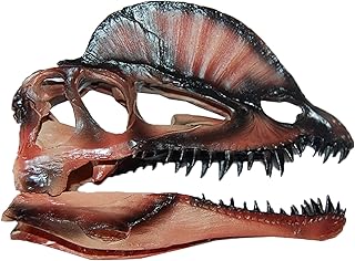 Dinosaur Skull Model - Dinosaur Tooth Skull Fossil - Dinosaur Skull Fossil Teaching Skeleton Model for Photography Props Home Decor