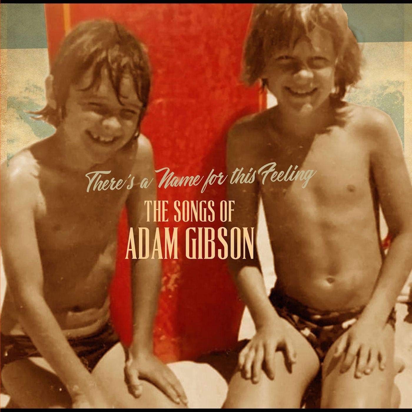 The Songs Of Adam Gibson (2LP) [VINYL]
