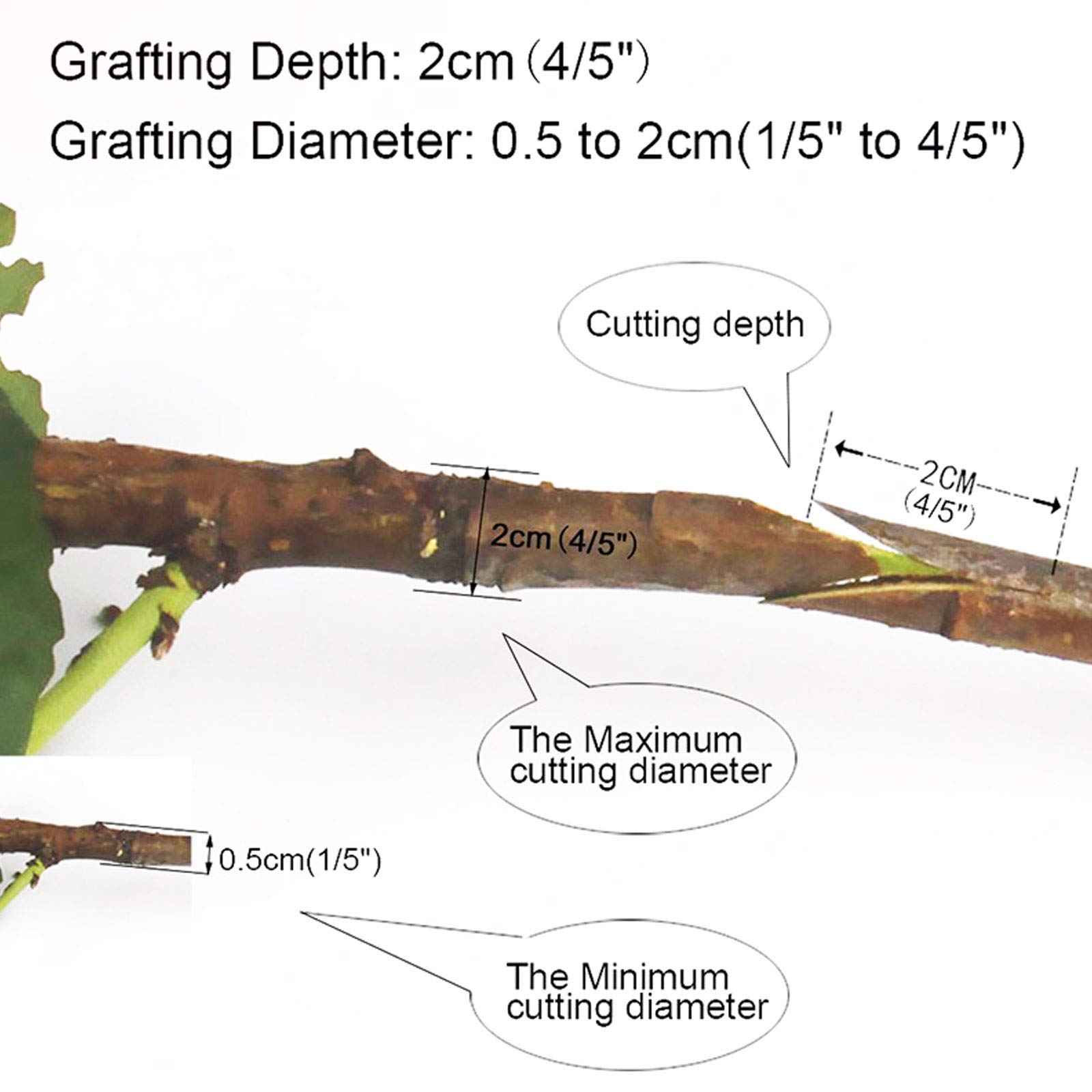 Attrezzi da Giardino Innesto Pruner Kit Chopper Albero Pianta Shears Scissor Graft con Film Tape Garden Tools, Alto Tasso di Sopravvivenza, Facile da Usare