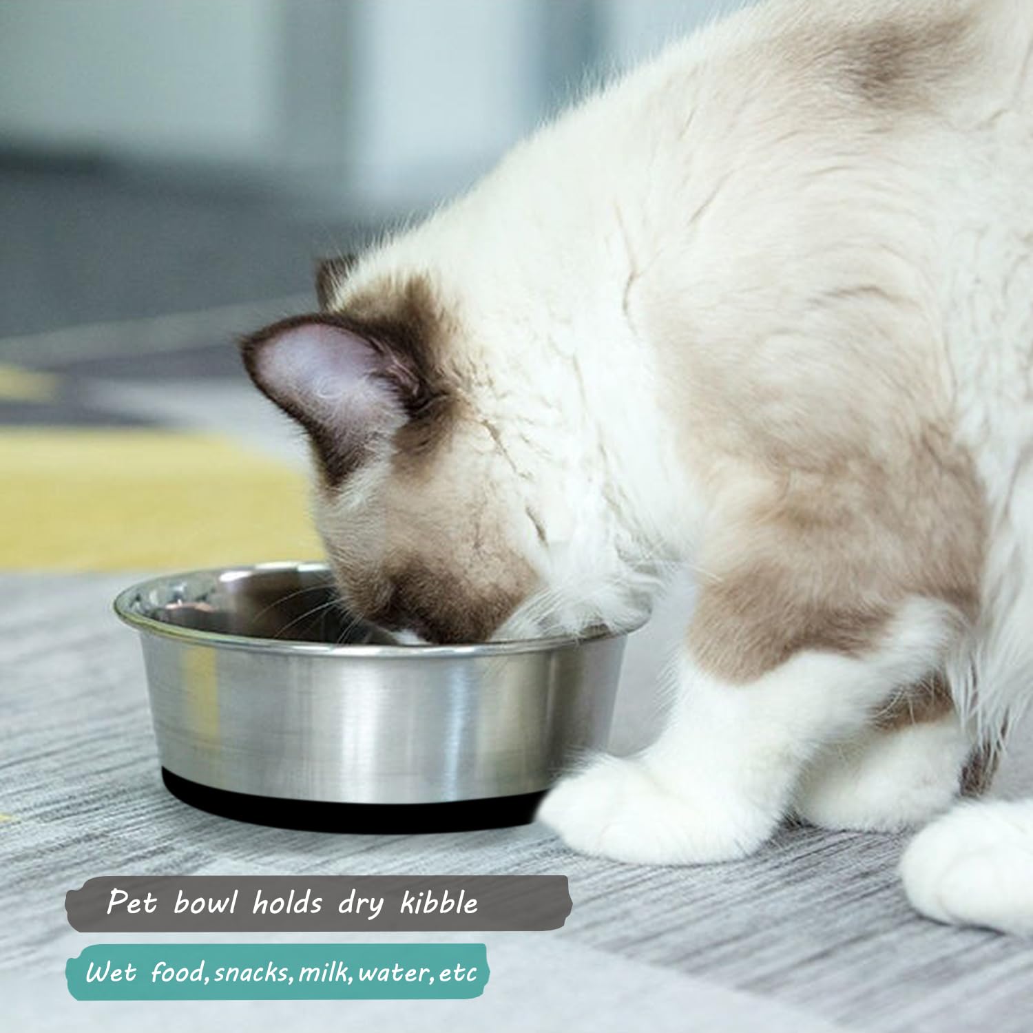 YUDANSI 2Pack Dog Bowls For Small Medium Large Dogs Cats (2500ml Stainless Steel Non Slip)(Healthy Eating Dishwasher Safe) Pet Bowl - Image 3
