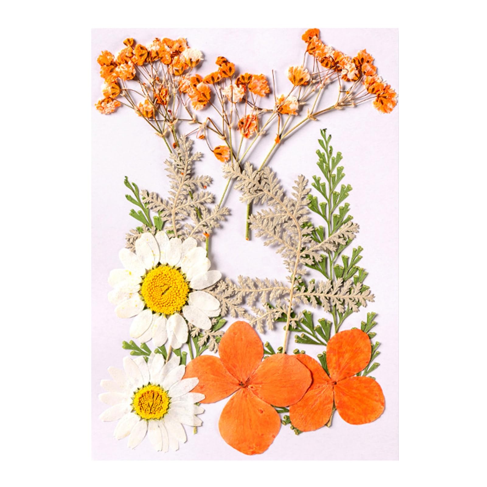 Hshduti Orange 10 Pcs Dried Pressed Flowers For Resin, Real Pressed Flowers Dry Leaves Bulk Natural Herbs Kit For Scrapbooking Diy Art Crafts, Epoxy Resin Jewelry Molds, Candle, Soap Making, Nails Décor