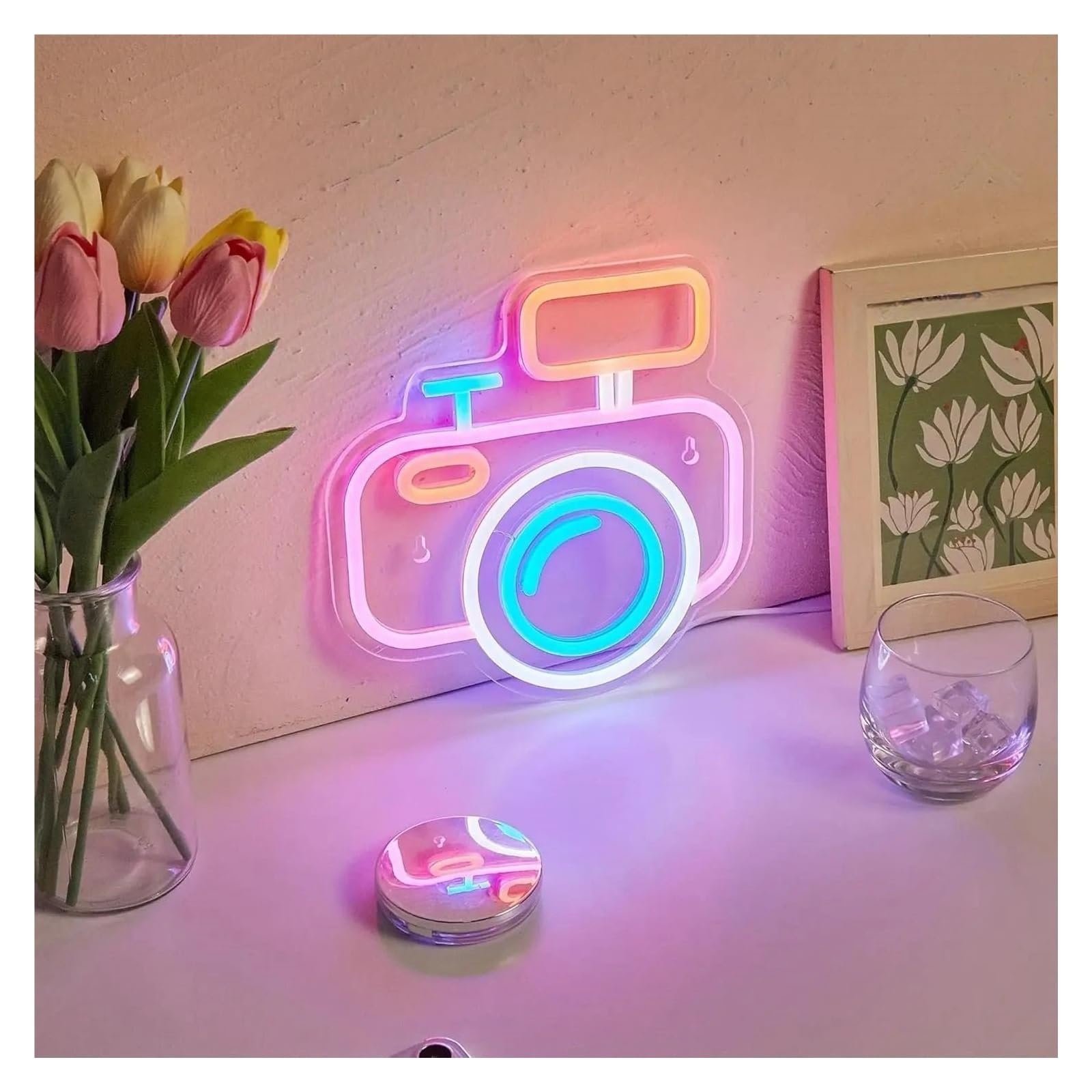 Fotocamera per carina per insegna per neon Light per alimentazione per neon