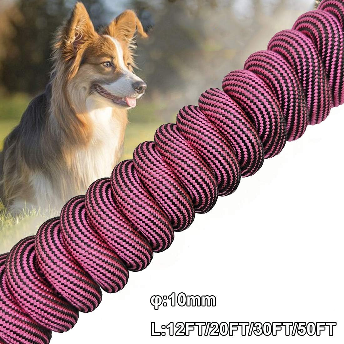 BTINESFUL 20FT Anti-Choke Slip Lead Dog Leash + 20FT Dog Tie Out Rope Leash