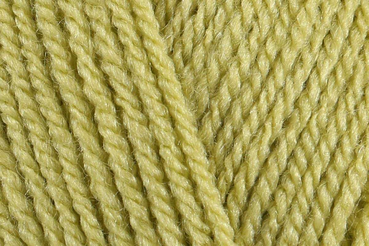 Stylecraft Special DK Crochet Yarn, Soft 100% Double Knitting Wool for Jumpers, Toys, Blankets, Cushion Covers - 100g Balls - Pistachio (1822) - PK of 3 GET 2 Ball Free=5 Ball