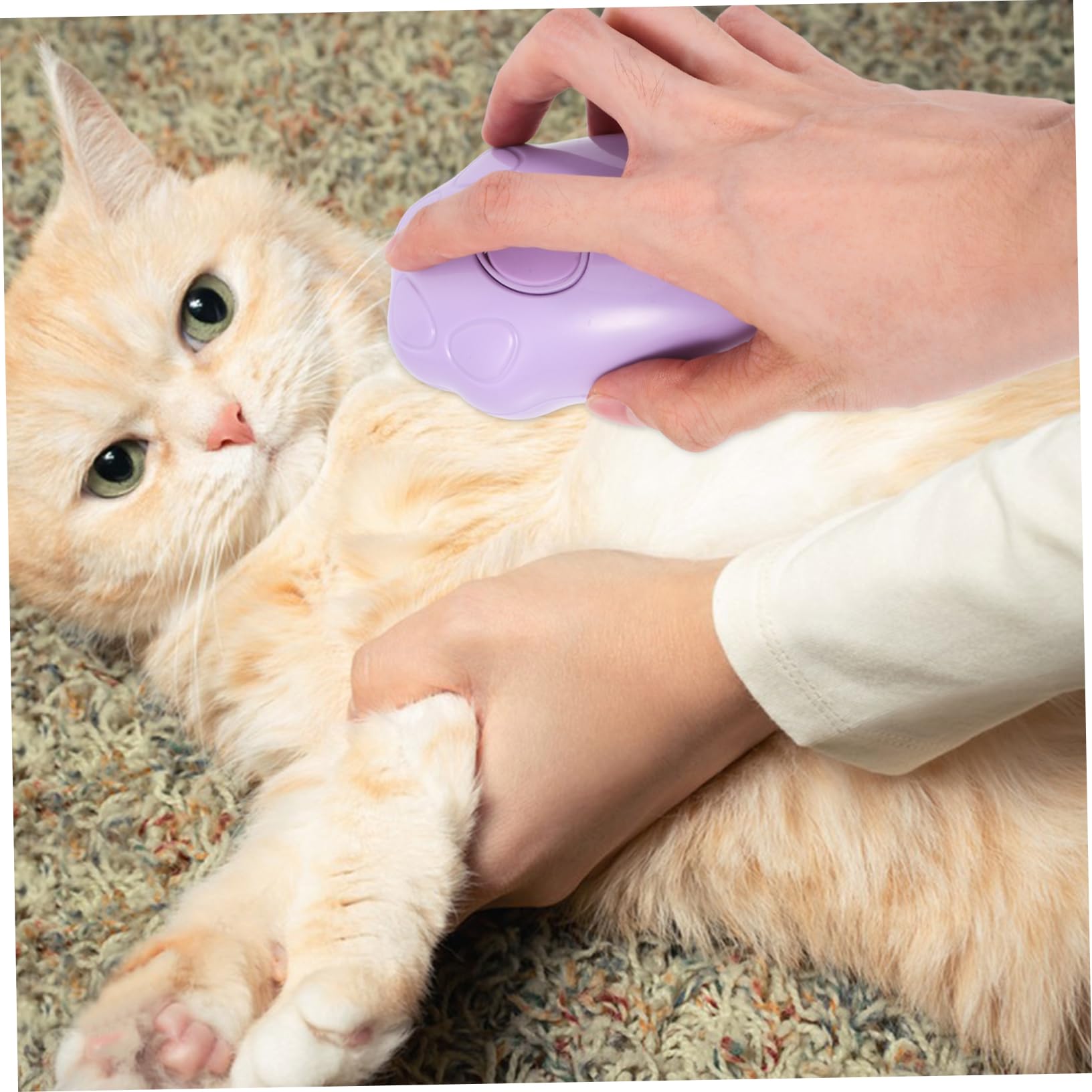 Kisangel 5stücke Elektrische Katzen-dampfbürste Selbstreinigende Katzenbürste Mit Massagestrahl Und Dampf-funktion Für Einfache Entfernen Von Haaren Und Knoten Geeignet Für