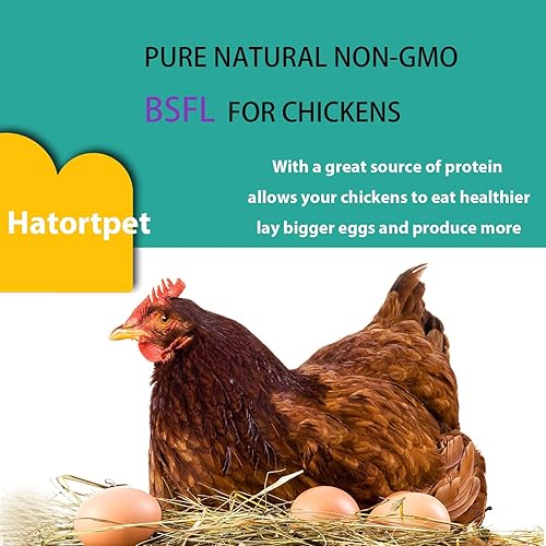 Miniatura 4 de Dried Black Soldier Fly Larvae 10LB-Pure Natural Non-GMO BSF Larvae for Chickens-More Calcium Than Mealworms High-Protein Chickens Treats for Layer