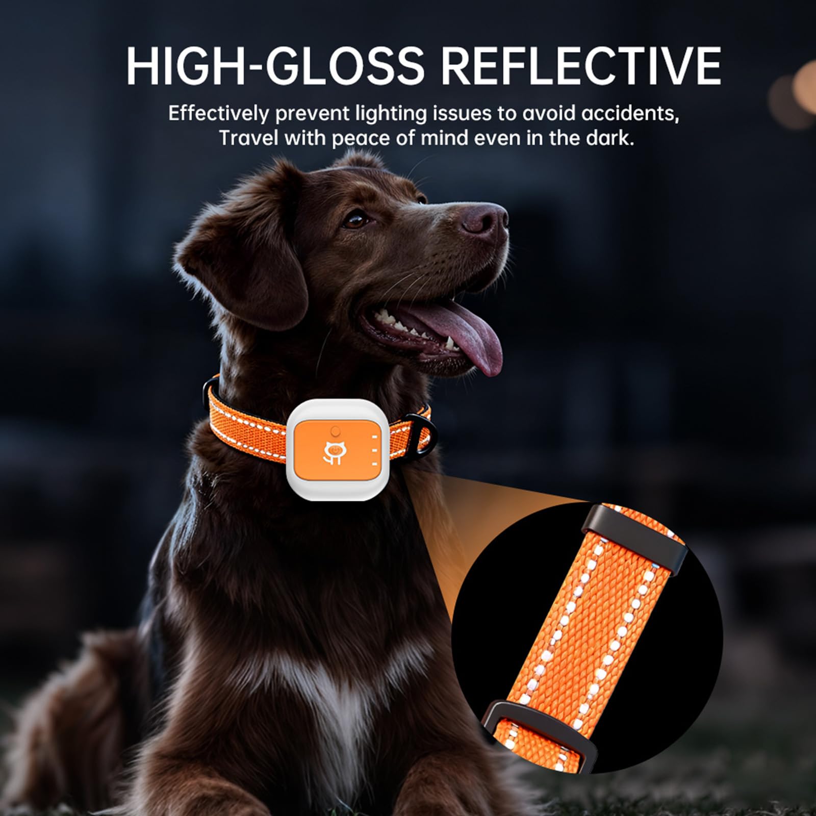 Análisis de comportamiento, localizadores de mascotas enfocados en el historial de seguimientos, impermeable, reflectante y geográfico, notificaciones de valla electrónica