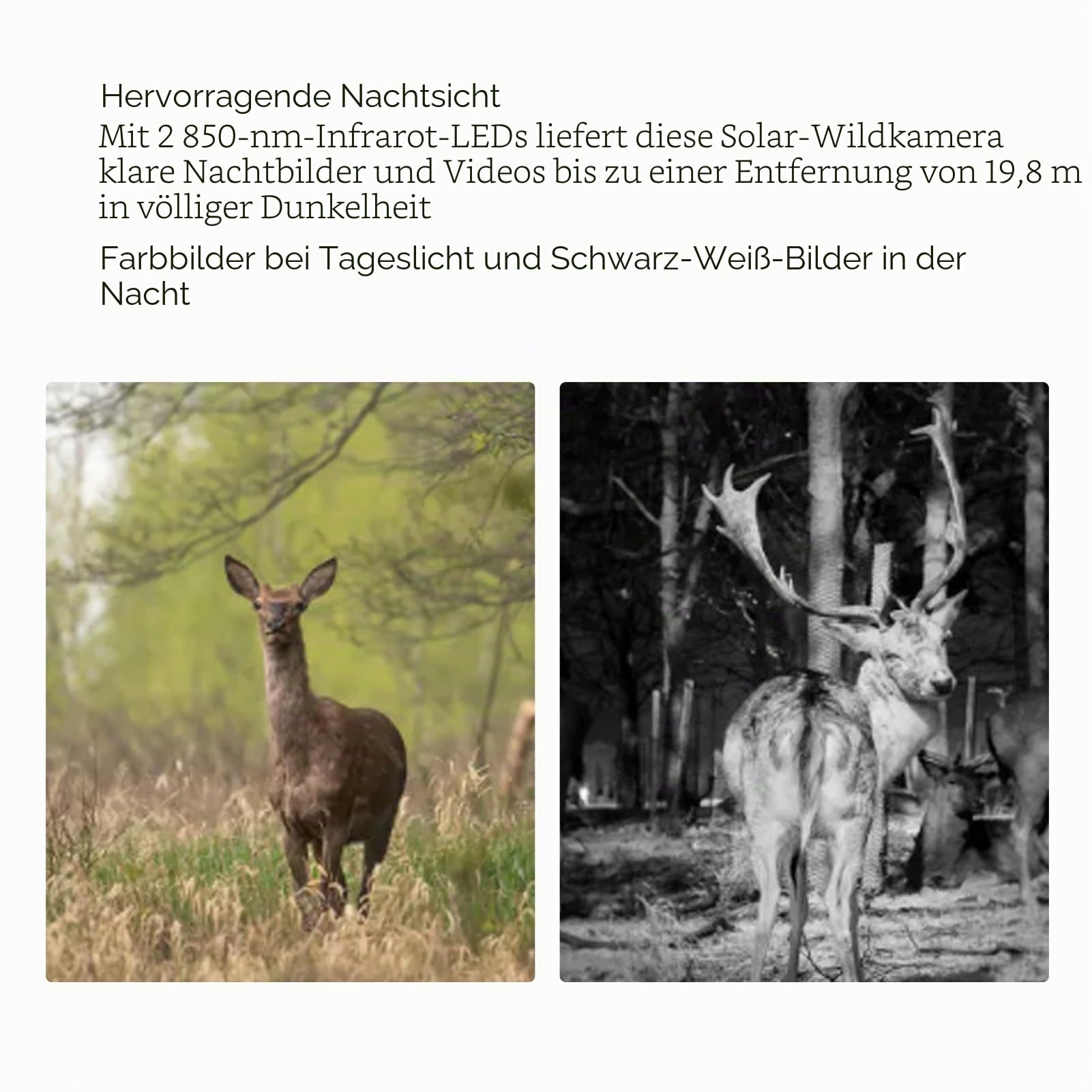 GOWENIC Solar Trail Kamera, 4K 50 MP HD Nachtsicht Sun Powered Solar Game Wildlife Jagd Trail Kameras, IP65 wasserdichte IR-Bewegungs Erkennungs Jagd Kamera, Schleifen für die Jagd